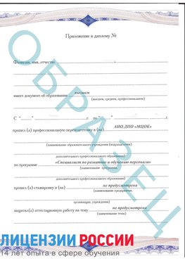 Образец приложение к диплому (страница 1) Железногорск-Илимский Профессиональная переподготовка сотрудников 
